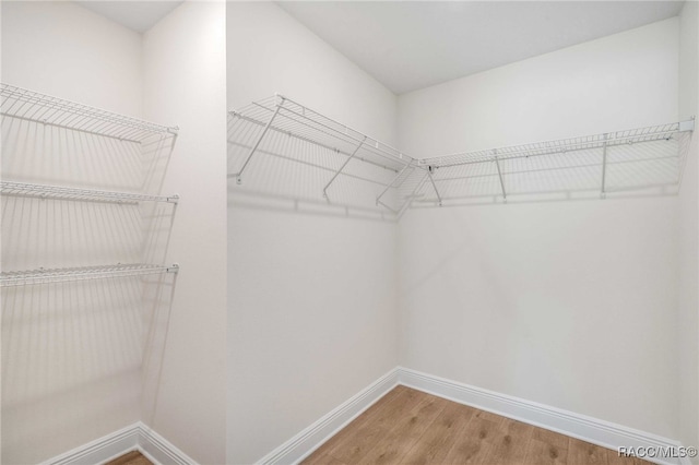 784 E Alaska Ln, Hernando, FL 34442 - spacious closet featuring wood finished floors