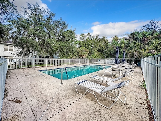 view of swimming pool with a patio area