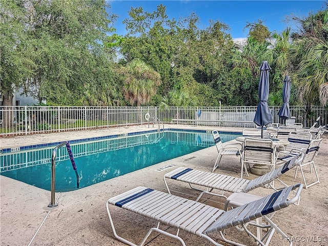 view of swimming pool with a patio