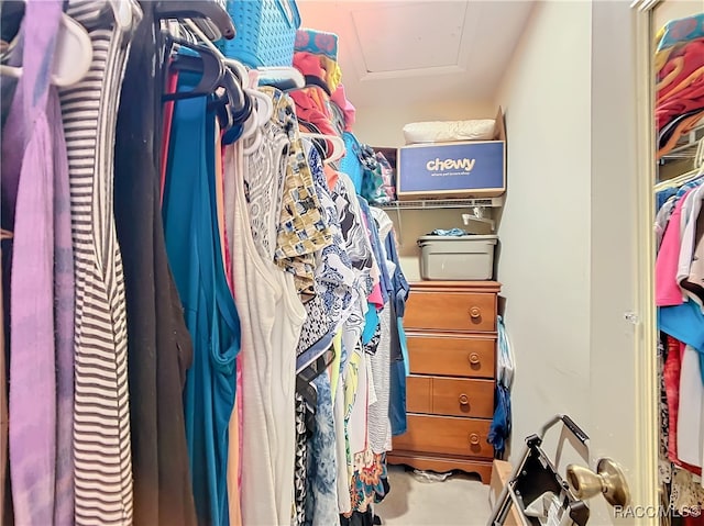 view of spacious closet