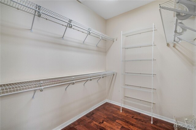 1324 Circus Ter, Hernando, FL 34442 - walk in closet featuring dark wood-style flooring