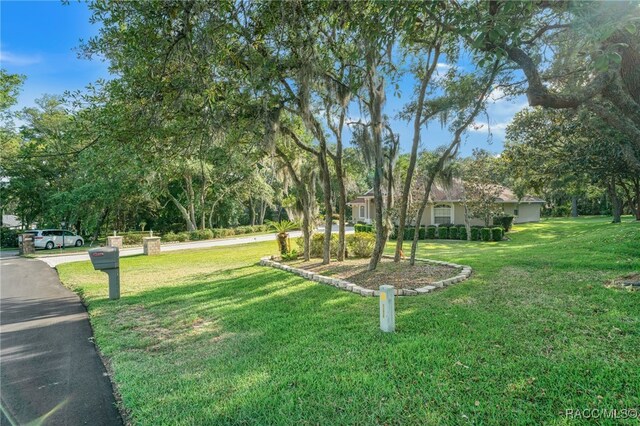 1324 Circus Ter, Hernando, FL 34442 - view of yard