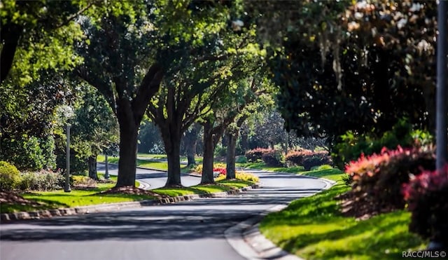 view of property's community