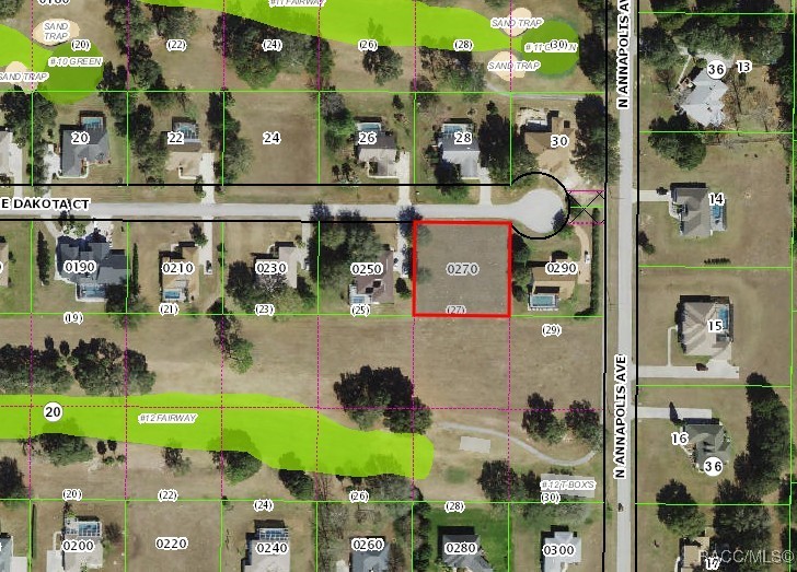 800 E Dakota Ct, Hernando, FL 34442 - photo 4