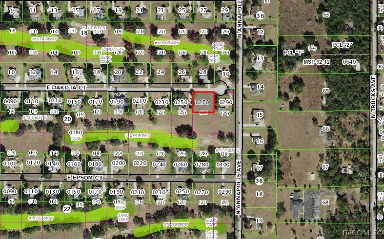 800 E Dakota Ct, Hernando, FL 34442 - photo 3