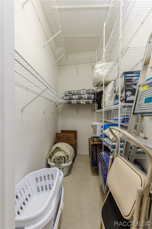 spacious closet with carpet flooring