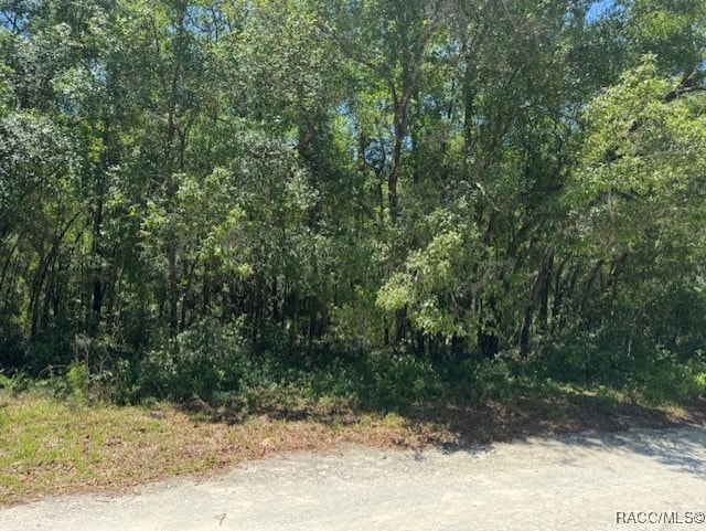 5660 W Meadowpark Ln, Crystal River, FL 34429