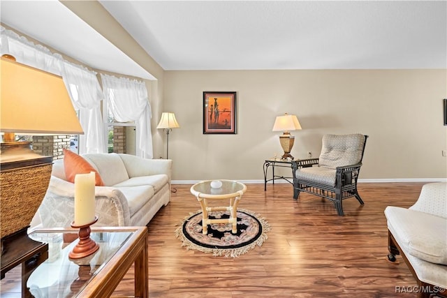 living room featuring wood-type flooring