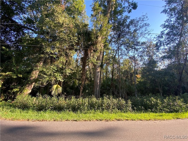 Listing photo 2 for 10490 W Main St, Homosassa FL 34448