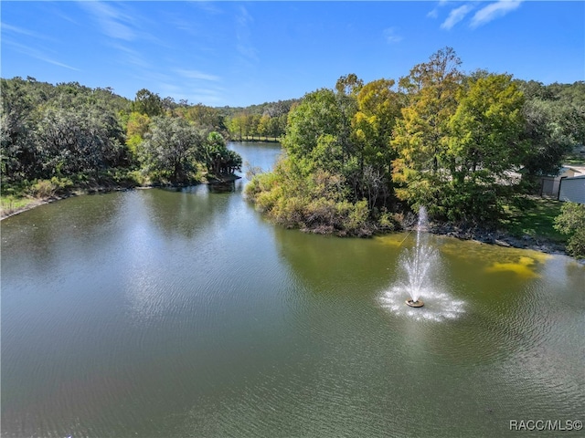 property view of water