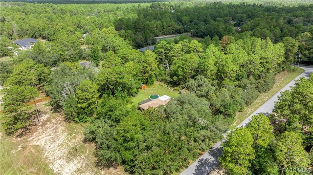 7414 N Tranquil Dr, Citrus Springs, FL 34433 - photo 28