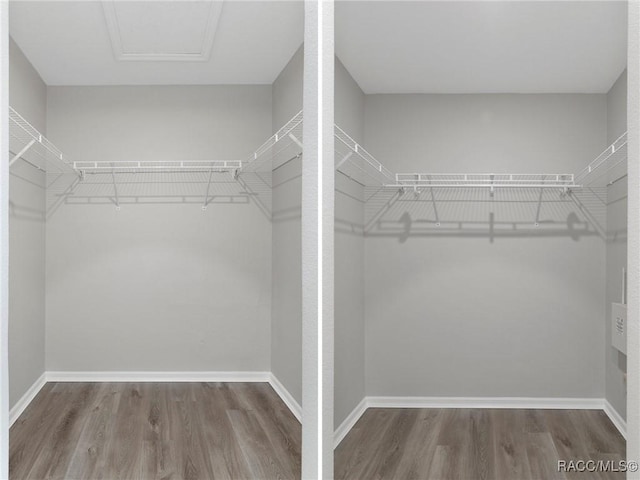 spacious closet with wood-type flooring