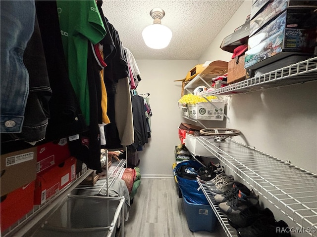 walk in closet featuring wood-type flooring