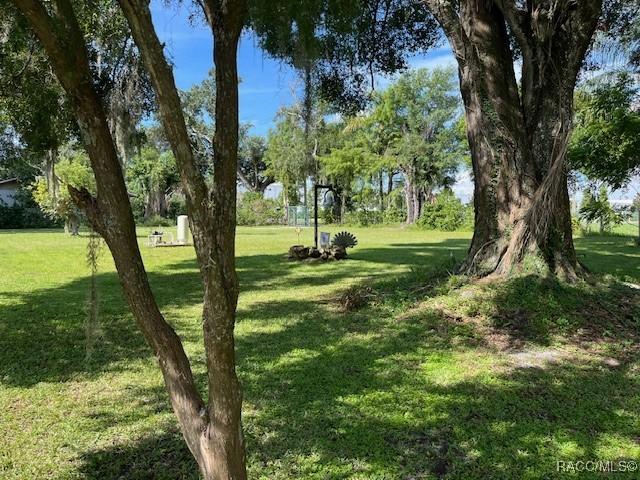 5811 Maple Ln, Tampa, FL 33610 - photo 43