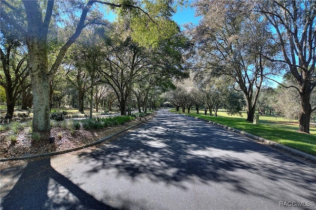 2598 N Troon Path, Lecanto, FL 34461 - photo 48