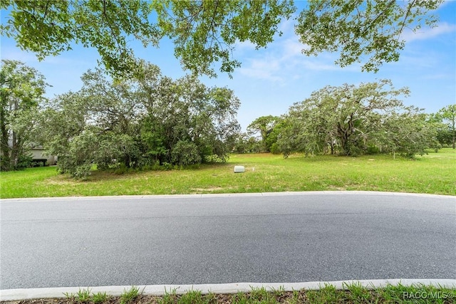 2598 N Troon Path, Lecanto, FL 34461 - photo 4