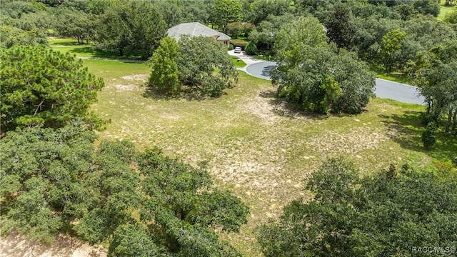 2598 N Troon Path, Lecanto, FL 34461 - photo 7