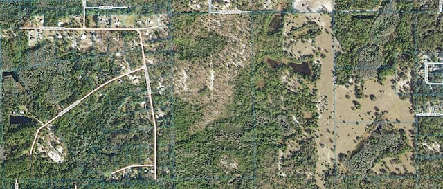 1267 N Jorie Ter, Crystal River, FL 34429 - photo 2