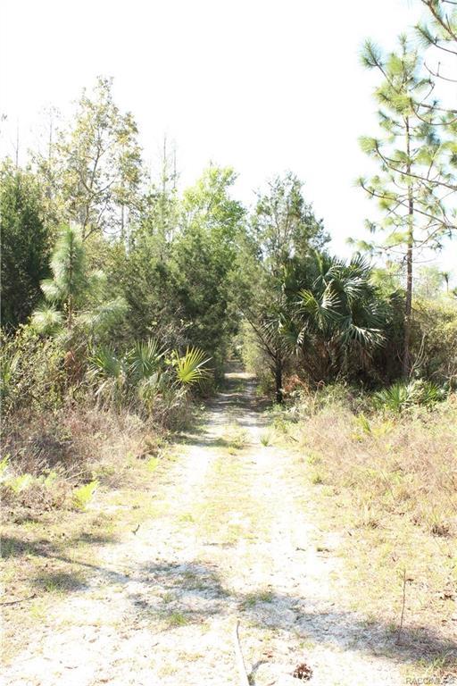 1267 N Jorie Ter, Crystal River, FL 34429 - photo 6