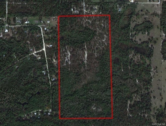 1267 N Jorie Ter, Crystal River, FL 34429 - photo 1