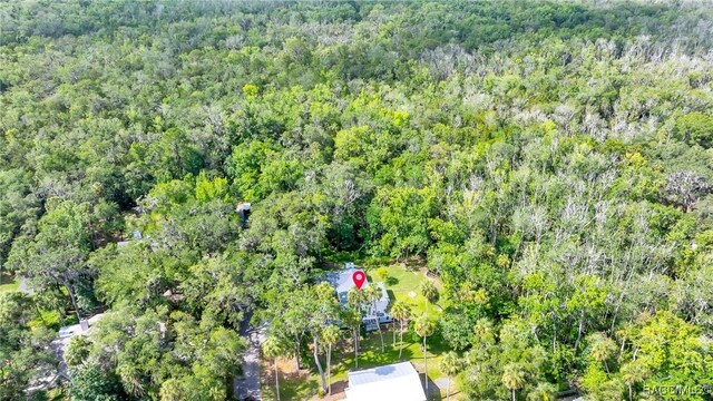 4330 S Conwell Pt, Homosassa, FL 34448 - photo 43