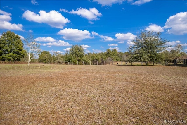 view of yard with a rural view