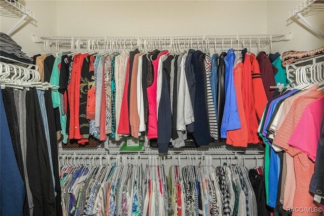 view of spacious closet