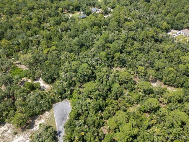 9315 N Cereus Way, Crystal River, FL 34428 - photo 5