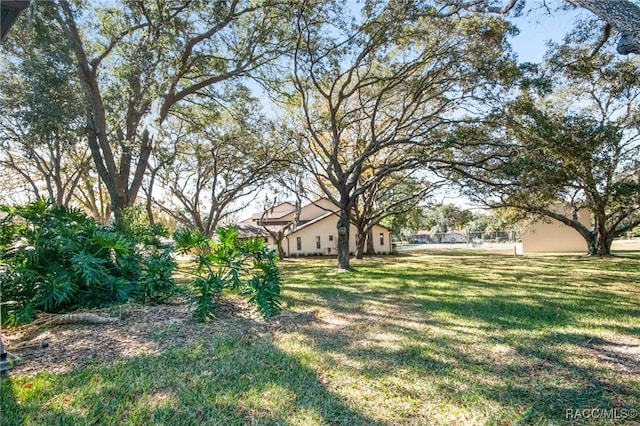 view of yard