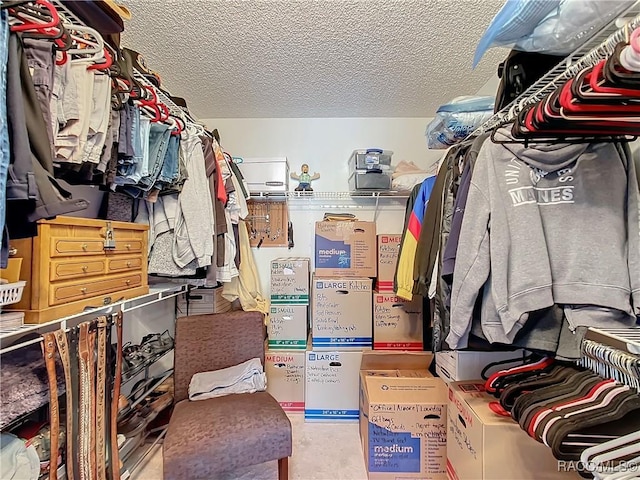 view of walk in closet