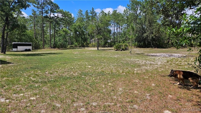 4889 N Peppermint Dr, Beverly Hills, FL 34465 - view of green lawn