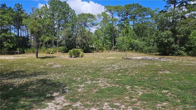 4889 N Peppermint Dr, Beverly Hills, FL 34465 - view of green lawn