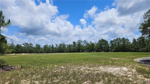 4889 N Peppermint Dr, Beverly Hills, FL 34465 - view of grassy yard featuring a forest view