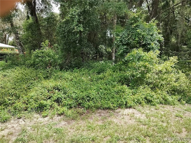 8488 E Henderson Trl, Inverness, FL 34450 - photo 6