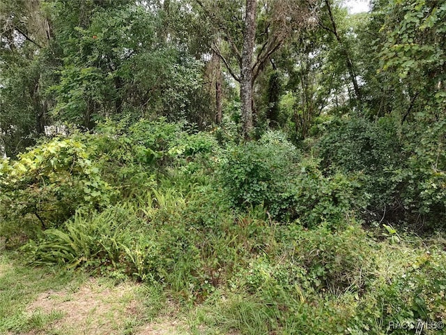 8488 E Henderson Trl, Inverness, FL 34450 - photo 2