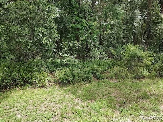 8488 E Henderson Trl, Inverness, FL 34450 - photo 4
