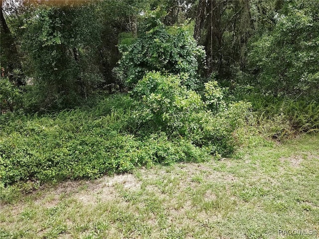 8488 E Henderson Trl, Inverness, FL 34450 - photo 5