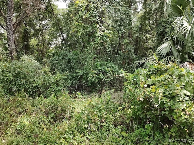 8488 E Henderson Trl, Inverness, FL 34450 - photo 3