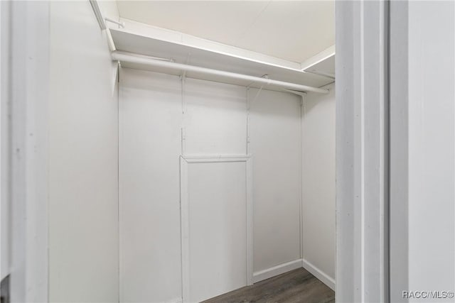 spacious closet featuring dark wood finished floors