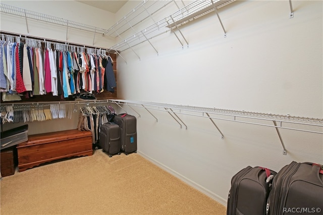 walk in closet with carpet flooring