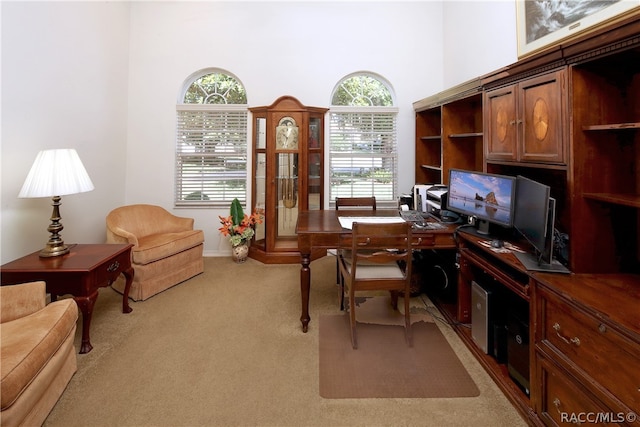 office featuring light colored carpet and a towering ceiling