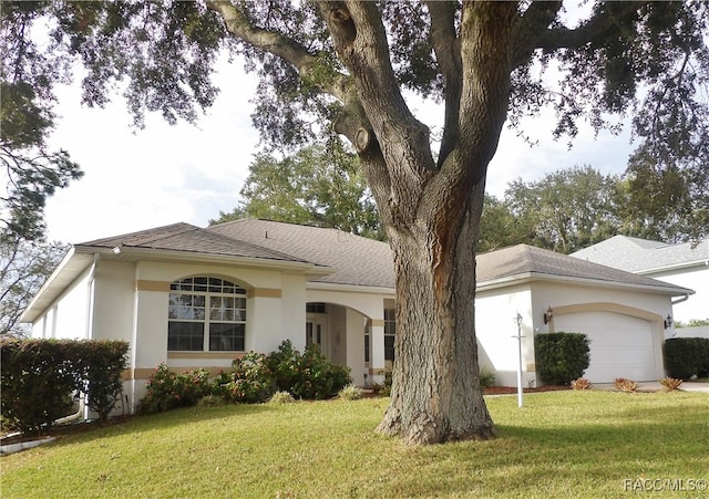 ranch-style home featuring a garage and a front lawn