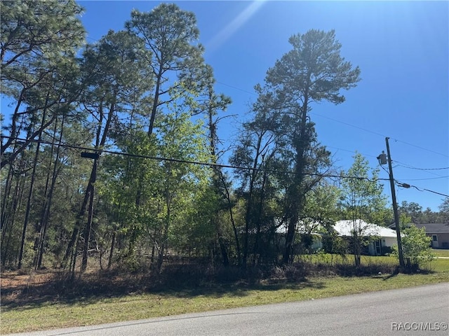 3219 N Tyrone Ave, Hernando FL, 34442 land for sale