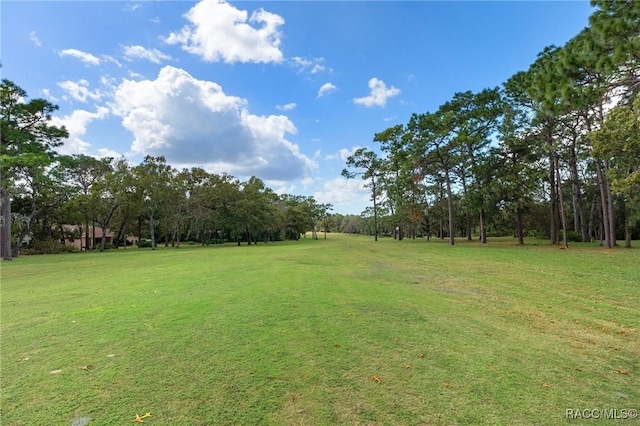 35 Beech St Unit 11, Homosassa, FL 34446 - photo 29