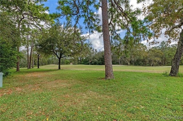 35 Beech St Unit 11, Homosassa, FL 34446 - photo 28