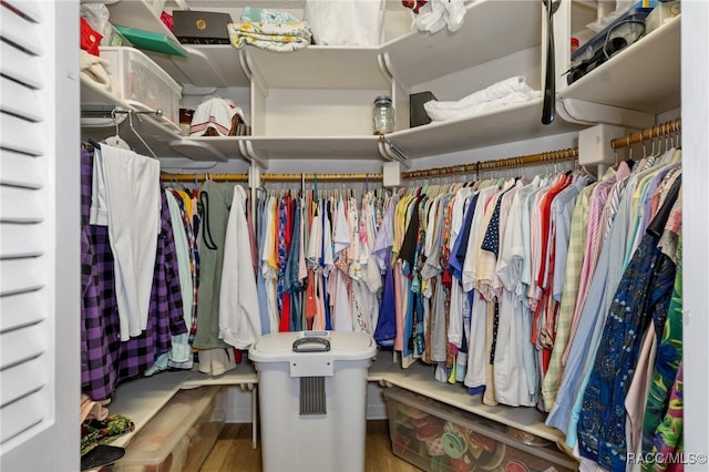 spacious closet with hardwood / wood-style floors