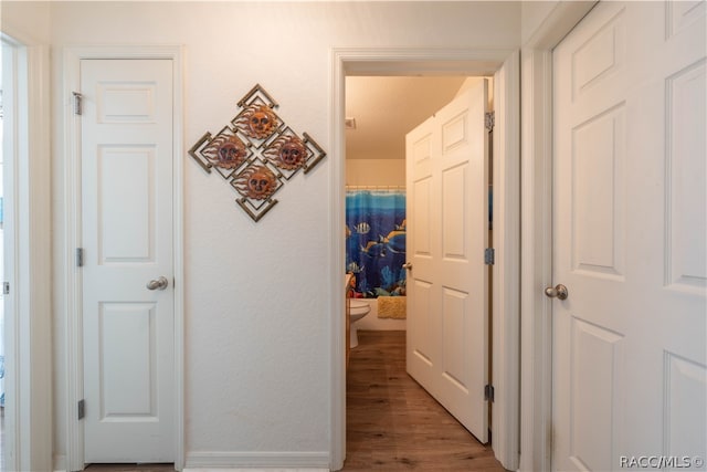 corridor featuring light hardwood / wood-style flooring