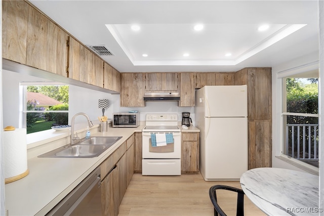 kitchen with plenty of natural light, light hardwood / wood-style floors, a raised ceiling, and appliances with stainless steel finishes