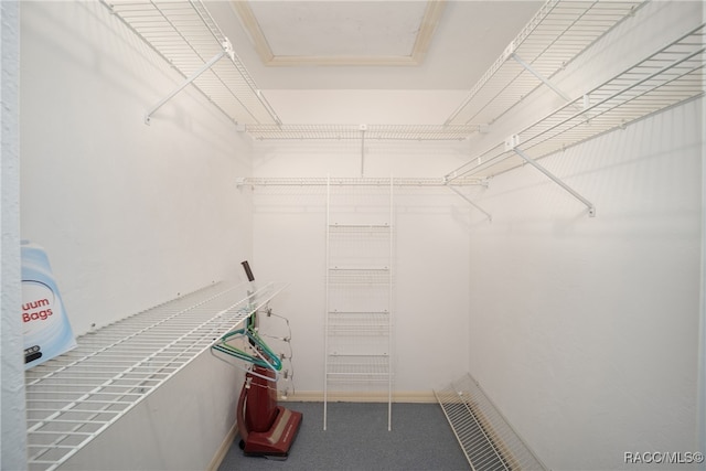 spacious closet featuring carpet floors