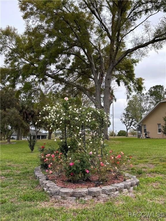 705 E Dakota Ct, Hernando, FL 34442 - view of green lawn